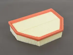 Air Filter Insert 