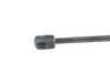ES#2869189 - 2038800029 - Hood Gas Strut - Right Side - Febi - Mercedes Benz