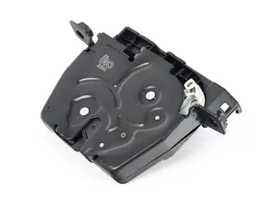 Trunk Lock Assembly