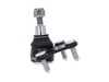 ES#4829873 - 3QF407366 - Ball Joint - Right - Hardware sold separately - Vaico - Volkswagen
