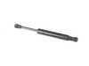 ES#4067255 - 51242497679 - Trunk Strut - Priced Each - Keep your trunk functioning properly with this OEM trunk strut replacement. Appropriate for both left and right sides. - Stabilus - BMW