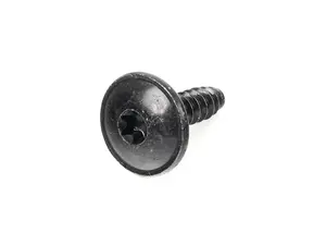 Torx Head Self Tapping Screw (4.8 X 16 mm)