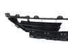 ES#4187407 - 51117496957 - GRID, CENTER - Genuine BMW - BMW