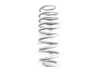 ES#4830895 - CTS-LS-006 - Lowering Springs - 1 lowering on average F & r - CTS - Volkswagen