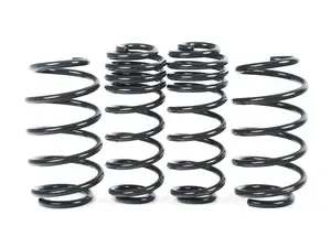 VWR Sport Springs