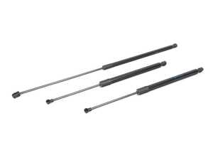 ES#3678186 - 5gm827550bKT - Hood & Hatch Strut Kit - Tired of holding that sagging hood or hatch open? - Genuine Volkswagen Audi - Volkswagen