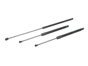 Hood & Hatch Strut Kit