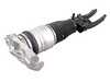 ES#4839900 - 7L8616039H - Front Air Spring With Strut - Left - Recommended to be replaced in pairs. - Vemo - Audi