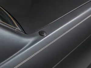 BMW Antenna Delete