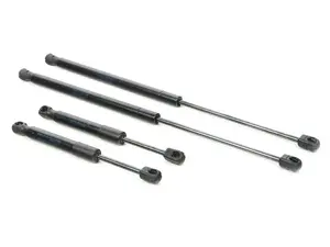 Hood And Hatch Strut Kit