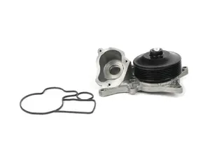 Water Pump Assembly