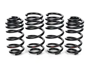 B9 A4 / S4 Lowering Spring Set