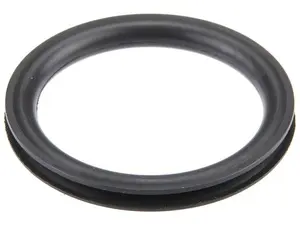 Gas Cap Seal