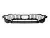 ES#4187487 - 51118065195 - GRILL, CENTER LOWER - Genuine BMW - BMW