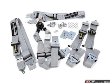 ES#4643189 - SR 94530-9-27 - Schroth Flexi 2X2 - Silver - Flexi 2x2 features Frontal Head Restraint (FHR) specific 2 shoulder belts, 2" Flexi Lap Belts, and a T-bar adjustable sub strap. - Schroth - Audi BMW Volkswagen Mercedes Benz MINI Porsche