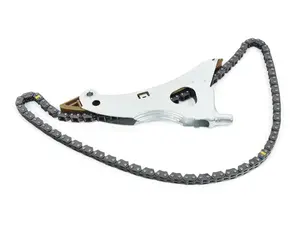 Timing Chain with Tensioning Rail - Right