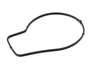 BMW Water Pump Gasket