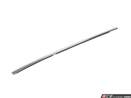 ES#2590283 - 51352990879 - OUTER WEATHERSTRIP, - Genuine BMW - BMW