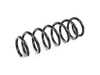 ES#4642613 - 36-294459 - Bilstein OE Replacement Springs - B3 OE Replacement - Coil Spring 13-17 X3 - Bilstein - BMW