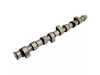 ES#4846417 - EVCVSW08 - Hydraulic Tappets Performance Camshaft - Duration intake: 288 degrees, Duration exhaust: 288 degrees - SPA Performance - Volkswagen