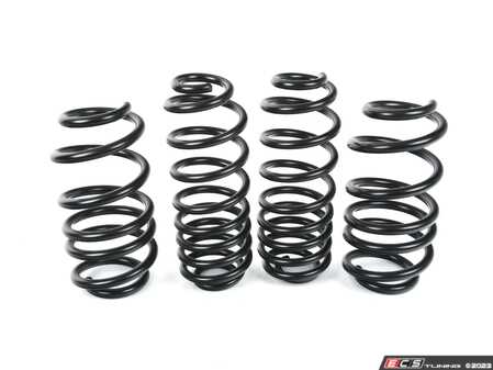 A7 Rear Spring ECS - 051190LA01-A - C7 A6/A7 Lowering Spring Set