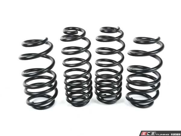 Lowering Spring Set For Land Rover Defender 90 & Discovery 1 - Front & Rear Kit 3 thumbnail image
