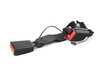ES#4055964 - 72117364225 - LOWER BELT REAR RIGHT - Genuine MINI - 