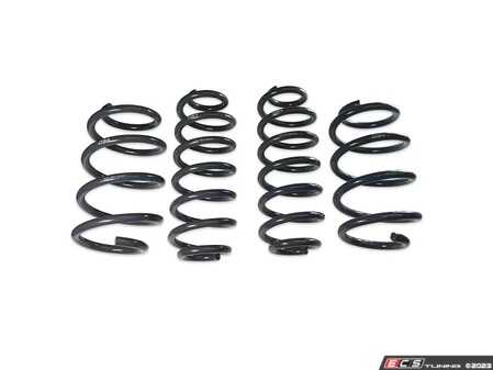 ES#4858408 - 034-404-1025 - Dynamic+ Lowering Springs - Average lowering of 1.57" (40mm) F & R - 034Motorsport - Audi
