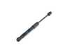 ES#4217100 - 51239463396 - GAS SPRING FRONT FLAP, PASSI - Genuine BMW - BMW