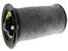 ES#4855555 - 37126765602 - BMW | Air Suspension Strut - Vemo - BMW