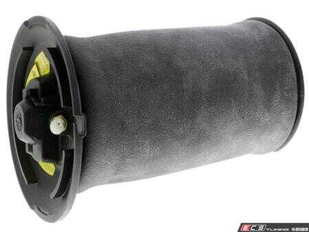 ES#4855555 - 37126765602 - BMW | Air Suspension Strut - Vemo - BMW