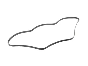 RIBBEDBELT