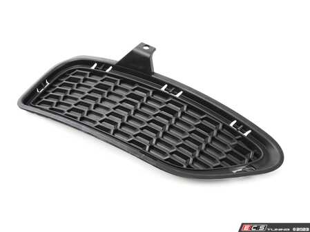 ES#2100887 - 51118038093 - GRID LATERAL RIGHT - Genuine BMW - BMW