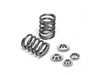 ES#4872007 - SPRK-A2416N-V6 - Single Valve Spring Kit - Performance valve spring kit for EA839 engines - Supertech - Audi
