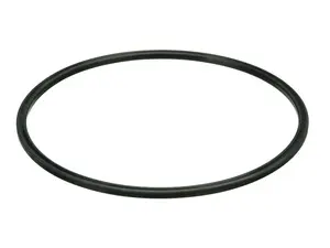 Fuel Pump Seal