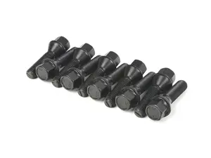Lug Bolt Kit - Set Of 10 - 39mm 