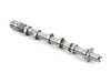 ES#3571752 - 06M109102EM - Camshaft - Exhaust Side - Cylinders 4-6 - Genuine Volkswagen Audi - Audi