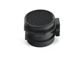 Mass Air Flow Sensor (MAF)