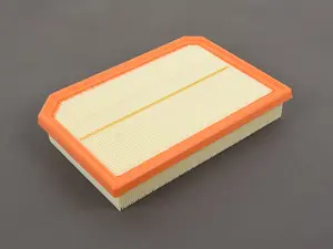 Engine Air Filter