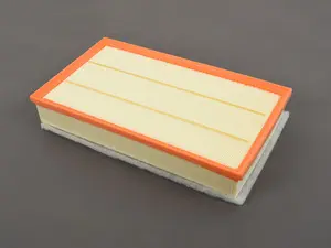 Engine Air Filter