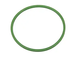 Fuel Tank Pump Seal