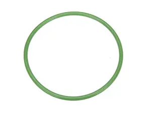 Fuel Pump O-Ring