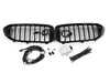 ES#4209364 - 63172466465 - FRONT ORNAMENTAL GRILLE ICON - Genuine BMW - BMW