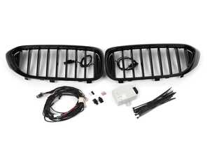 ES#4209364 - 63172466465 - FRONT ORNAMENTAL GRILLE ICON - Genuine BMW - BMW