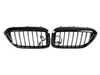 ES#4209364 - 63172466465 - FRONT ORNAMENTAL GRILLE ICON - Genuine BMW - BMW