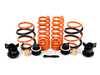 ES#4708508 - ASTALS-21-004 - Adjustable Lowering Springs - Dial in the exact ride height you want on your BMW - Lowers vehicle by 20-46mm front and 10-36mm rear - AST Suspension  - BMW
