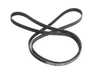 ES#2800755 - 0139978792 - Serpentine Accessory Belt - 21.36 x 2370mm - Continental - Mercedes Benz