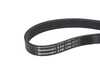 ES#4818746 - 6PK1165 - Accessory Belt - Drives the alternator, water pump, and power steering pump. - Continental - BMW