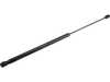 ES#4876833 - 2038800029 - Hood Gas Strut - Right Side - URO - Mercedes Benz