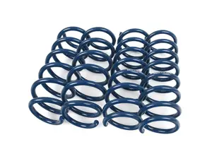 Dinan Performance Spring Set 